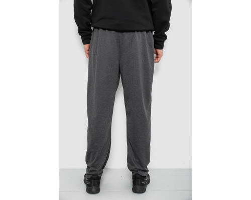 Спортивні штани чоловічі, колір сірий, 244R41399