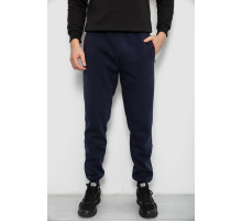 Спортивні штани чоловічі на флісі, колір синій, 244R41526