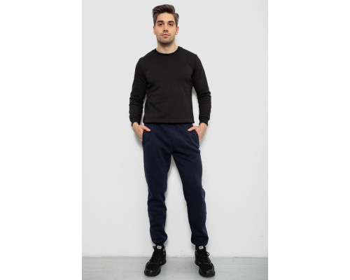 Спортивні штани чоловічі на флісі, колір синій, 244R41526