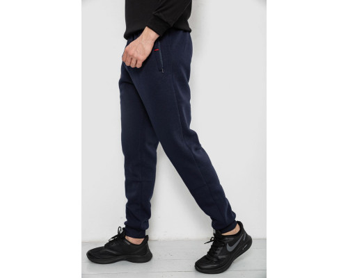 Спортивні штани чоловічі на флісі, колір синій, 244R41526