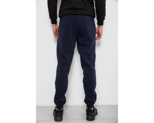 Спортивні штани чоловічі на флісі, колір синій, 244R41526