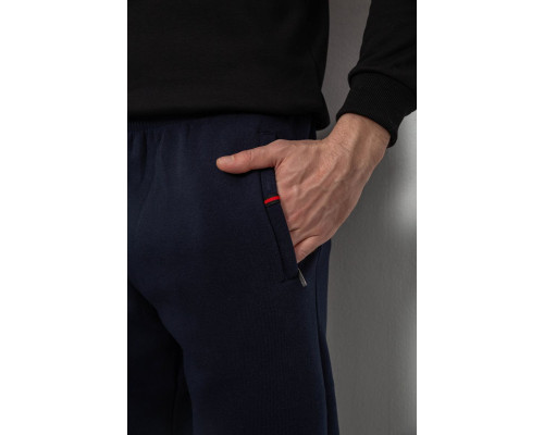 Спортивні штани чоловічі на флісі, колір синій, 244R41526