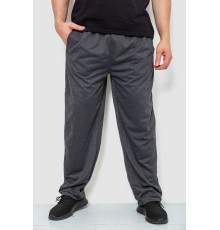 Спортивні штани чоловічі, колір темно-сірий, 244R10018