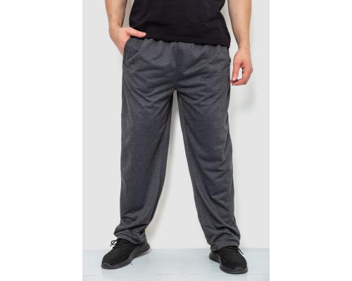 Спортивні штани чоловічі, колір темно-сірий, 244R10018
