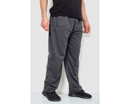 Спортивні штани чоловічі, колір темно-сірий, 244R10018