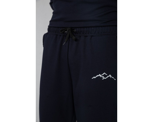 Спортивний чоловічий демісезонний костюм, колір темно-синій, 241R176