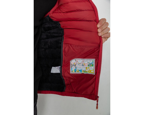 Жилетка чоловіча демісезонна, колір бордовий, 244R777