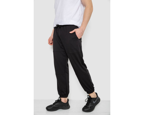 Спортивні штани чоловічі демісезонні, колір чорний, 241R001-1