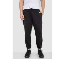 Спортивні штани чоловічі демісезонні, колір чорний, 241R001-1