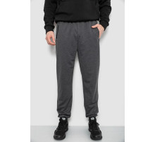 Спортивні штани чоловічі, колір сірий, 244R434