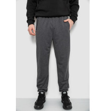 Спортивні штани чоловічі, колір сірий, 244R434