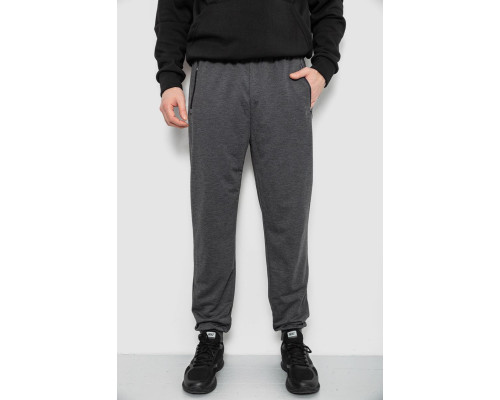Спортивні штани чоловічі, колір сірий, 244R434