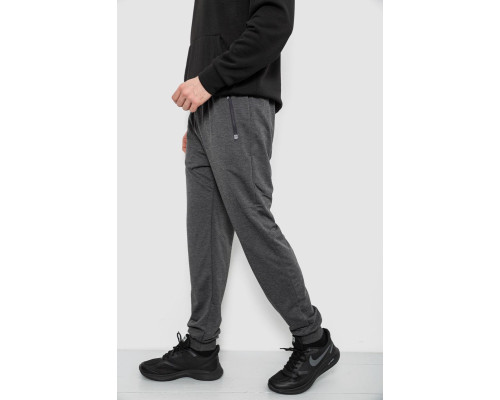 Спортивні штани чоловічі, колір сірий, 244R434