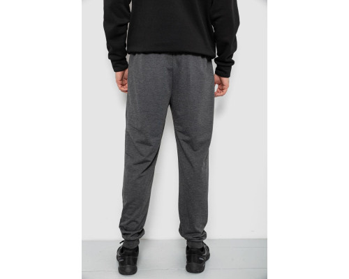 Спортивні штани чоловічі, колір сірий, 244R434