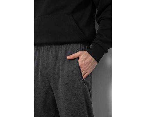 Спортивні штани чоловічі, колір сірий, 244R434