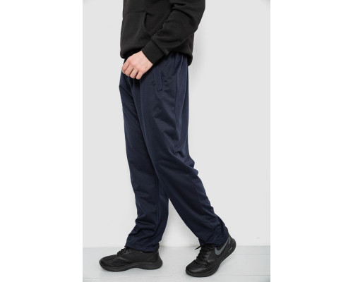Спортивні штани чоловічі, колір синій, 244R41399