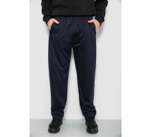 Спортивні штани чоловічі, колір синій, 244R41399