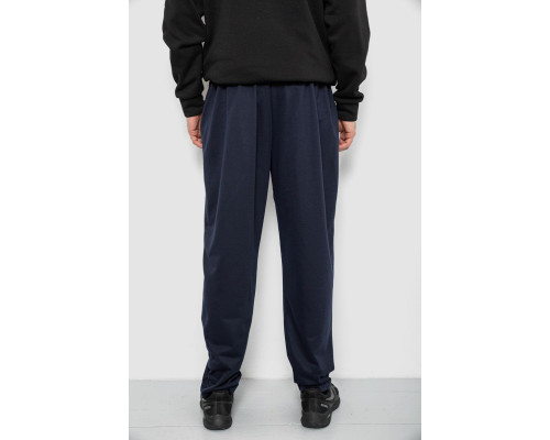 Спортивні штани чоловічі, колір синій, 244R41399