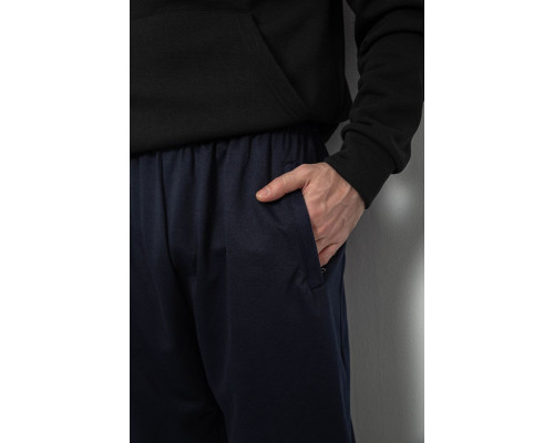 Спортивні штани чоловічі, колір синій, 244R41399