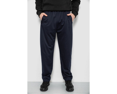 Спортивні штани чоловічі, колір синій, 244R41399