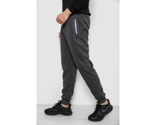 Спортивні штани чоловічі на флісі, колір сірий, 244R6120