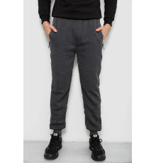 Спортивні штани чоловічі на флісі, колір сірий, 244R6120