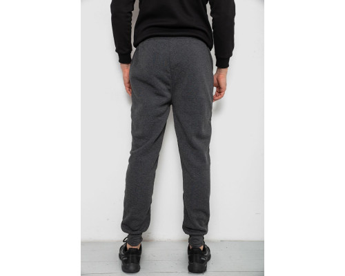 Спортивні штани чоловічі на флісі, колір сірий, 244R6120