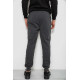 Спортивні штани чоловічі на флісі, колір сірий, 244R6120