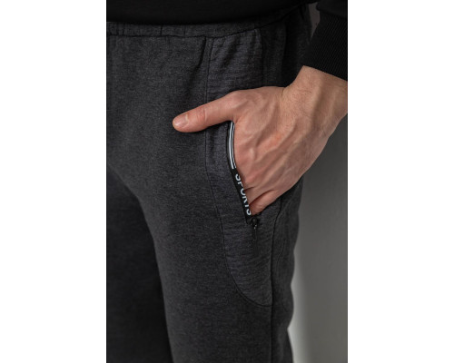 Спортивні штани чоловічі на флісі, колір сірий, 244R6120