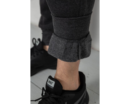 Спортивні штани чоловічі на флісі, колір сірий, 244R6120