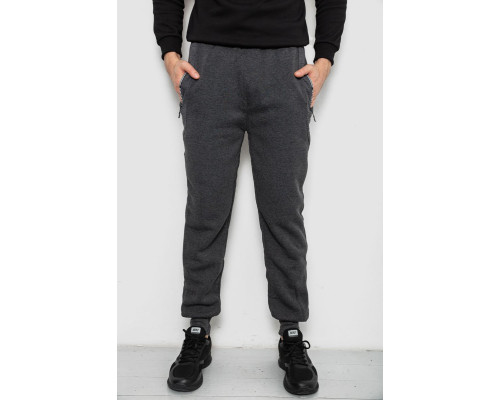 Спортивні штани чоловічі на флісі, колір сірий, 244R6120