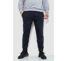 Спортивні штани чоловічі двонитка, колір темно-синій, 241R8005