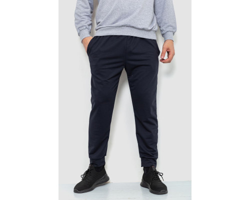 Спортивні штани чоловічі двонитка, колір темно-синій, 241R8005