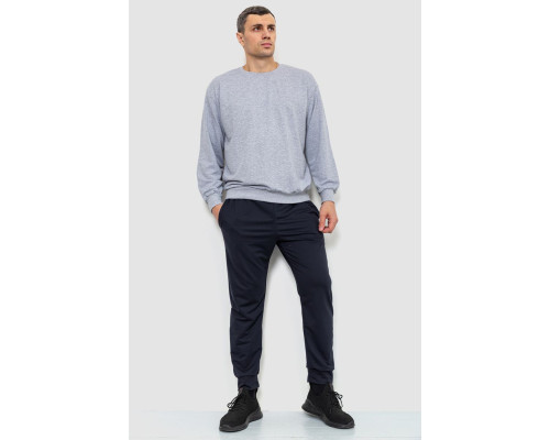 Спортивні штани чоловічі двонитка, колір темно-синій, 241R8005