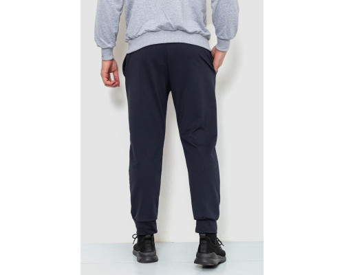 Спортивні штани чоловічі двонитка, колір темно-синій, 241R8005