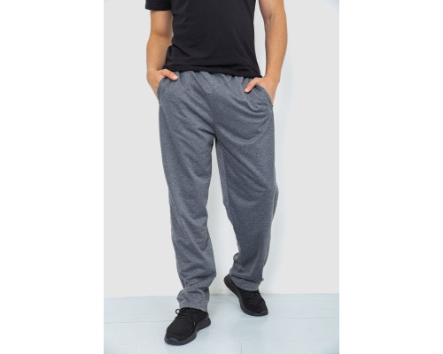 Спортивні штани чоловічі, колір сірий, 244R0668