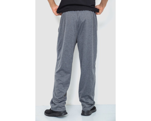 Спортивні штани чоловічі, колір сірий, 244R0668
