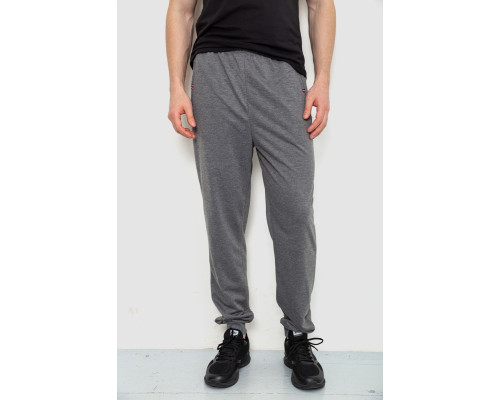 Спортивні штани чоловічі, колір сірий, 244R4770