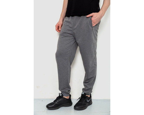 Спортивні штани чоловічі, колір сірий, 244R4770