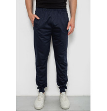 Спортивні штани чоловічі, колір темно-синій, 244R4779