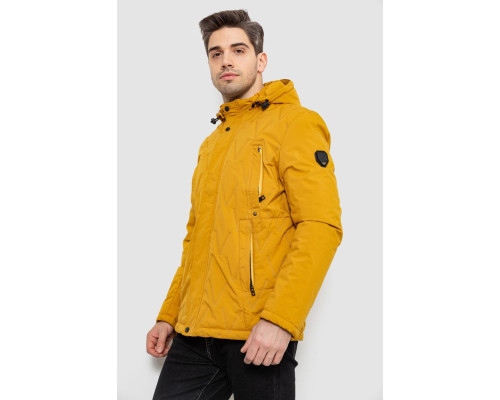 Куртка чоловіча демісезонна з капюшоном, колір жовтий, 244RL9159AL