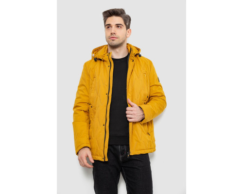 Куртка чоловіча демісезонна з капюшоном, колір жовтий, 244RL9159AL