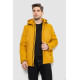 Куртка чоловіча демісезонна з капюшоном, колір жовтий, 244RL9159AL