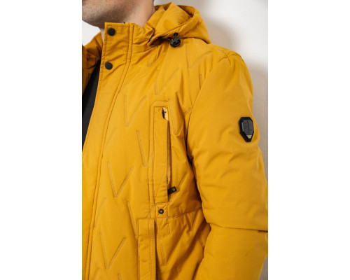 Куртка чоловіча демісезонна з капюшоном, колір жовтий, 244RL9159AL