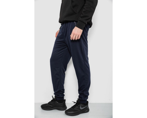 Спортивні штани чоловічі, колір синій, 244R434