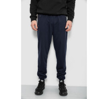 Спортивні штани чоловічі, колір синій, 244R434