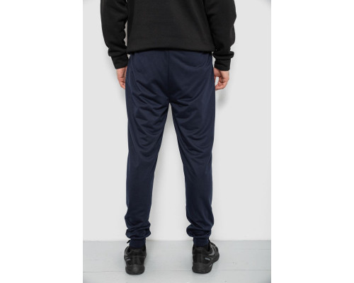 Спортивні штани чоловічі, колір синій, 244R434