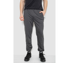 Спортивні штани чоловічі, колір темно-сірий, 244R41669