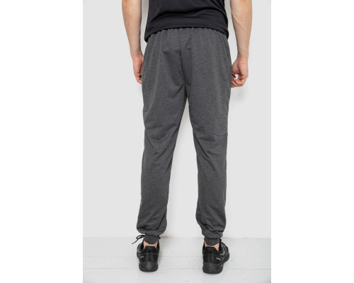 Спортивні штани чоловічі, колір темно-сірий, 244R41669