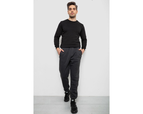 Спортивні штани чоловічі на флісі, колір сірий, 244R41526